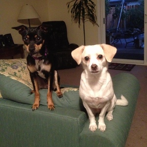 Fundraising Page: Jennifer Byram